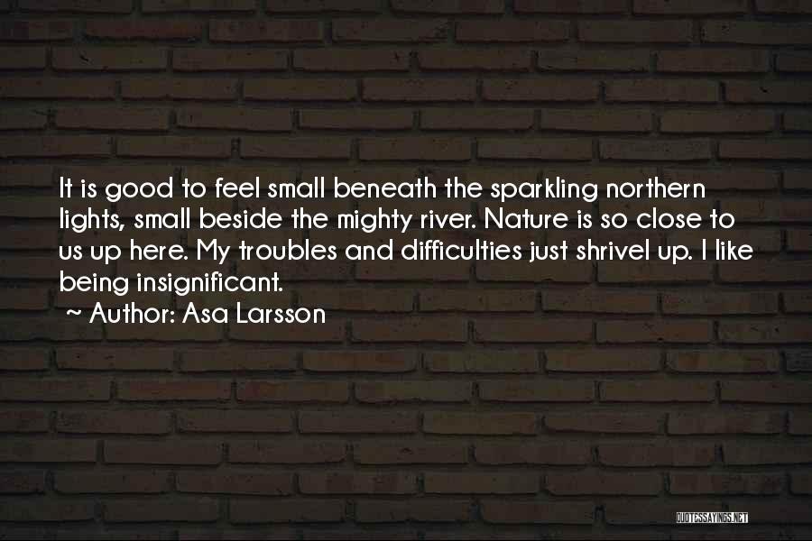 Sparkling Lights Quotes By Asa Larsson