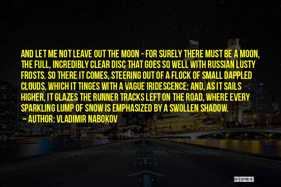 Sparkling Snow Quotes By Vladimir Nabokov