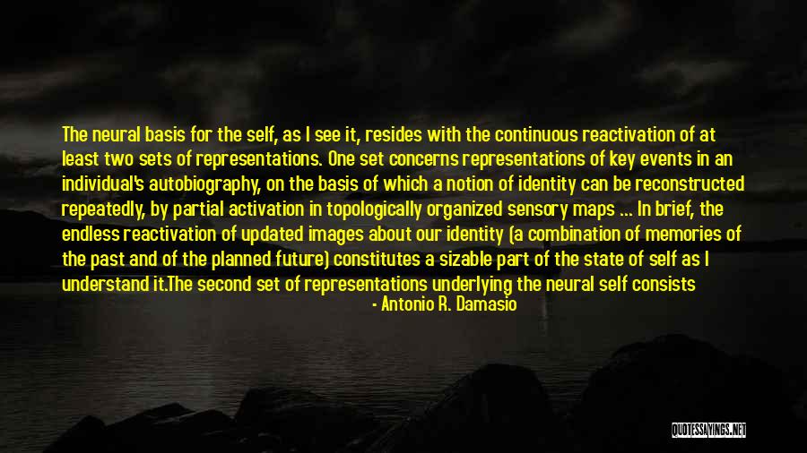 Sparkly Sparkles Quotes By Antonio R. Damasio Sparkly Sparkles Quotes By Antonio R. Damasio