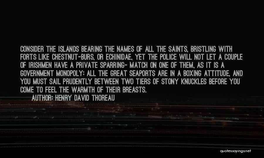 Sparring Quotes By Henry David Thoreau