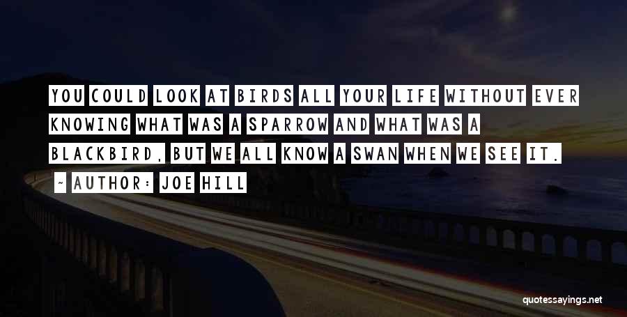 Sparrow Quotes By Joe Hill