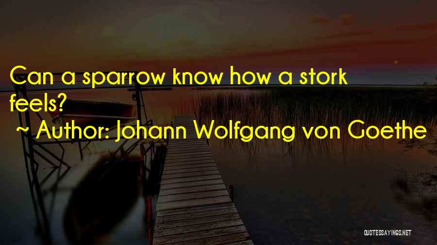 Sparrow Quotes By Johann Wolfgang Von Goethe