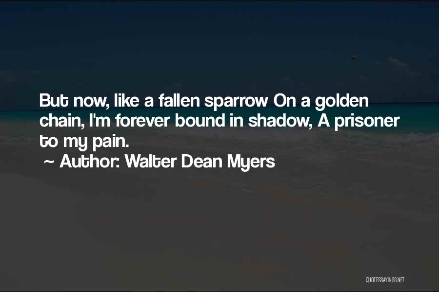 Sparrow Quotes By Walter Dean Myers