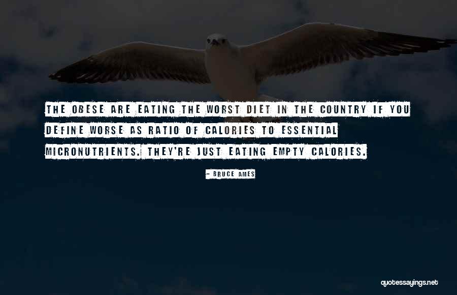 Sparrowhawk Airplane Quotes By Bruce Ames Sparrowhawk Airplane Quotes By Bruce Ames