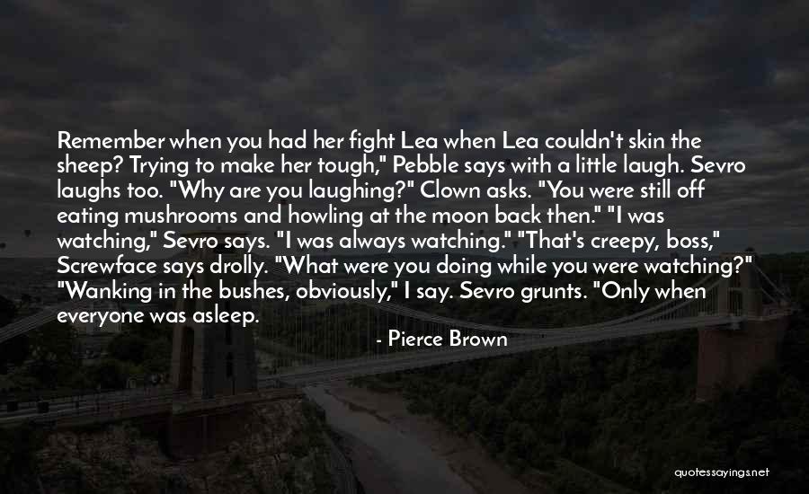 Sparrowhawk Airplane Quotes By Pierce Brown Sparrowhawk Airplane Quotes By Pierce Brown