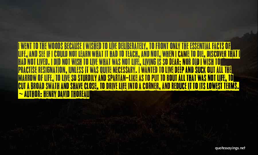 Spartan Quotes By Henry David Thoreau