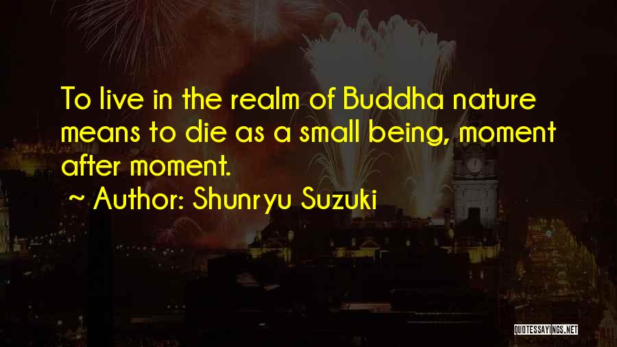 Spassos Quotes By Shunryu Suzuki