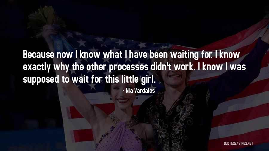 Spats For Shoes Quotes By Nia Vardalos Spats For Shoes Quotes By Nia Vardalos