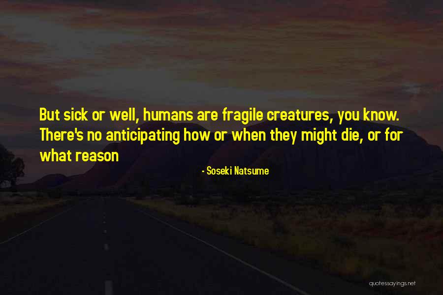 Spats For Shoes Quotes By Soseki Natsume Spats For Shoes Quotes By Soseki Natsume