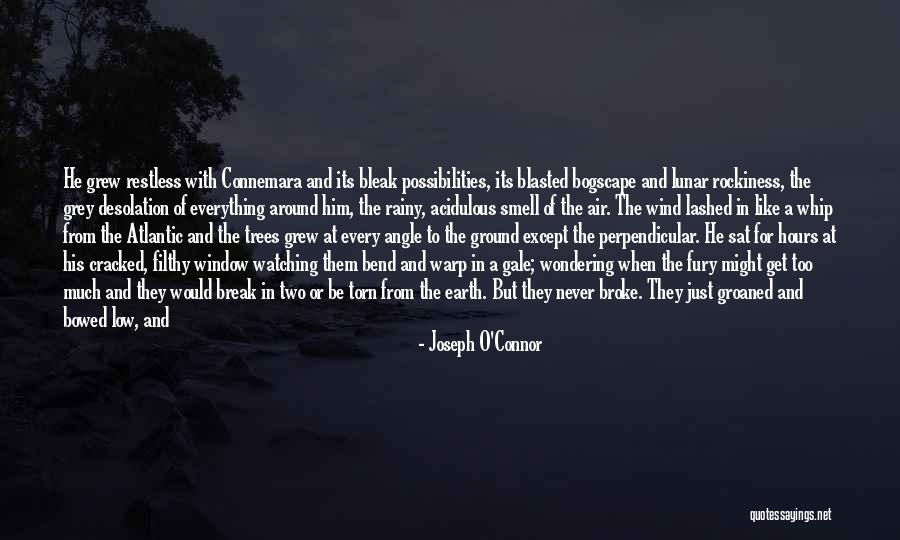 Spatz Quotes By Joseph O'Connor Spatz Quotes By Joseph O'Connor