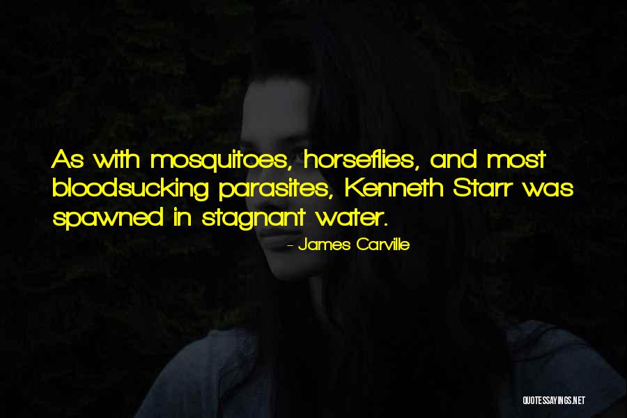 Spawned Quotes By James Carville Spawned Quotes By James Carville