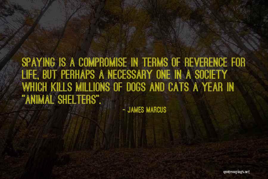 Spaying Quotes By James Marcus Spaying Quotes By James Marcus
