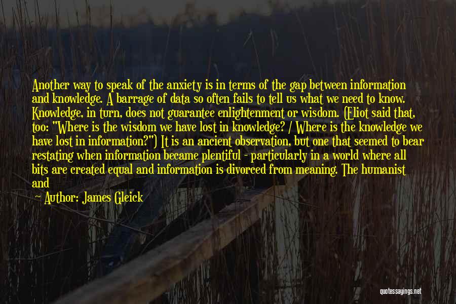 Speak Into Existence Quotes By James Gleick