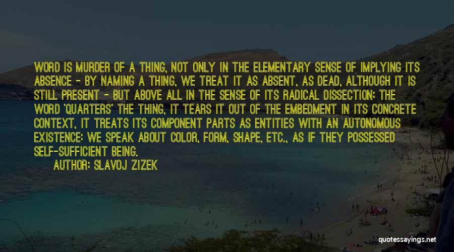 Speak Into Existence Quotes By Slavoj Zizek