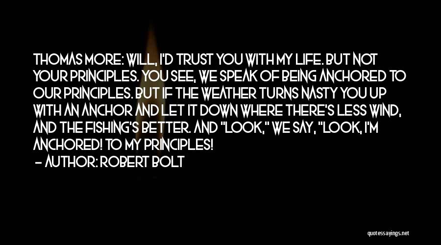 Speak Less Say More Quotes By Robert Bolt