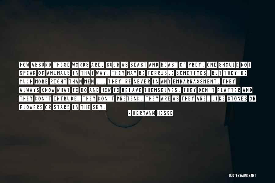 Speak Less Than You Know Quotes By Hermann Hesse Speak Less Than You Know Quotes By Hermann Hesse