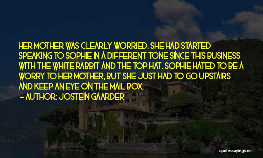 Speaking Clearly Quotes By Jostein Gaarder