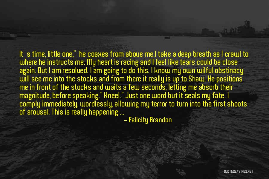 Speaking From The Heart Quotes By Felicity Brandon