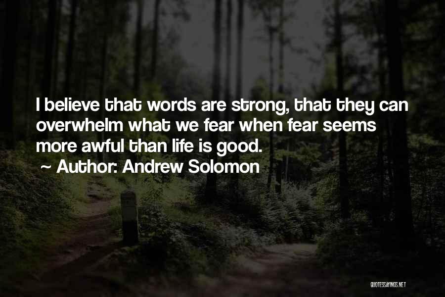 Speaking Good Words Quotes By Andrew Solomon