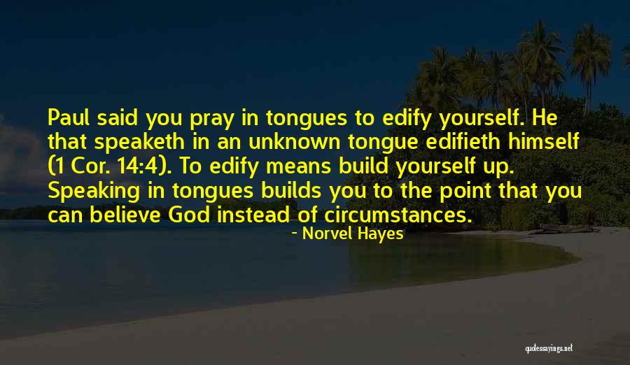 Speaking In Tongues Quotes By Norvel Hayes Speaking In Tongues Quotes By Norvel Hayes
