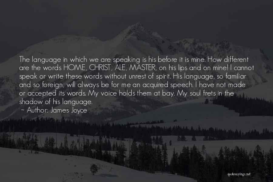 Speaking Without Words Quotes By James Joyce