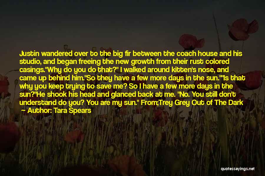 Spears Quotes By Tara Spears