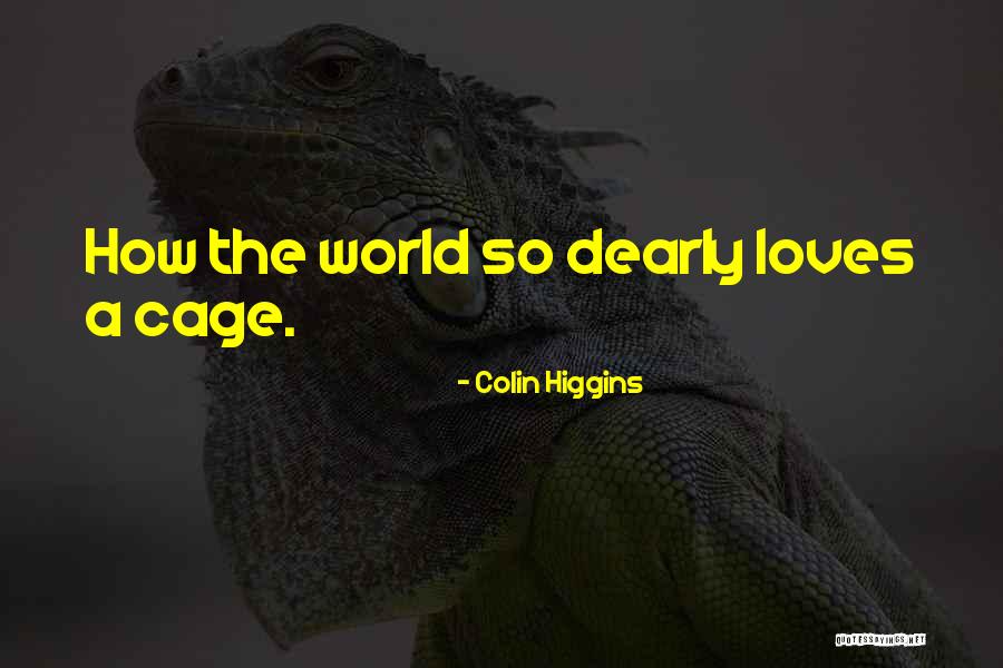 Specchietto Quotes By Colin Higgins