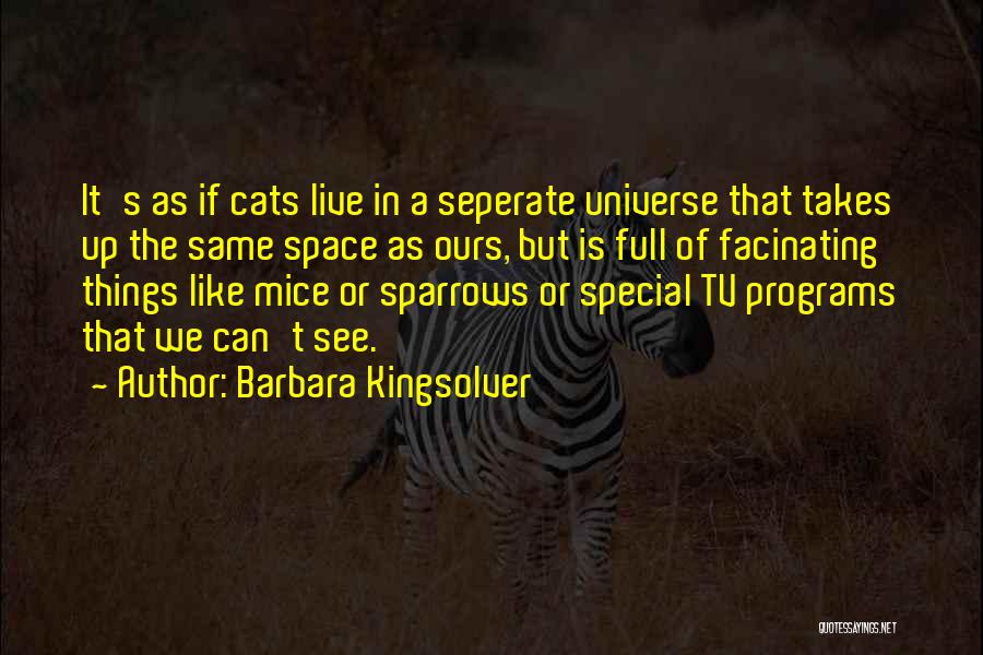 Special 1 Tv Quotes By Barbara Kingsolver