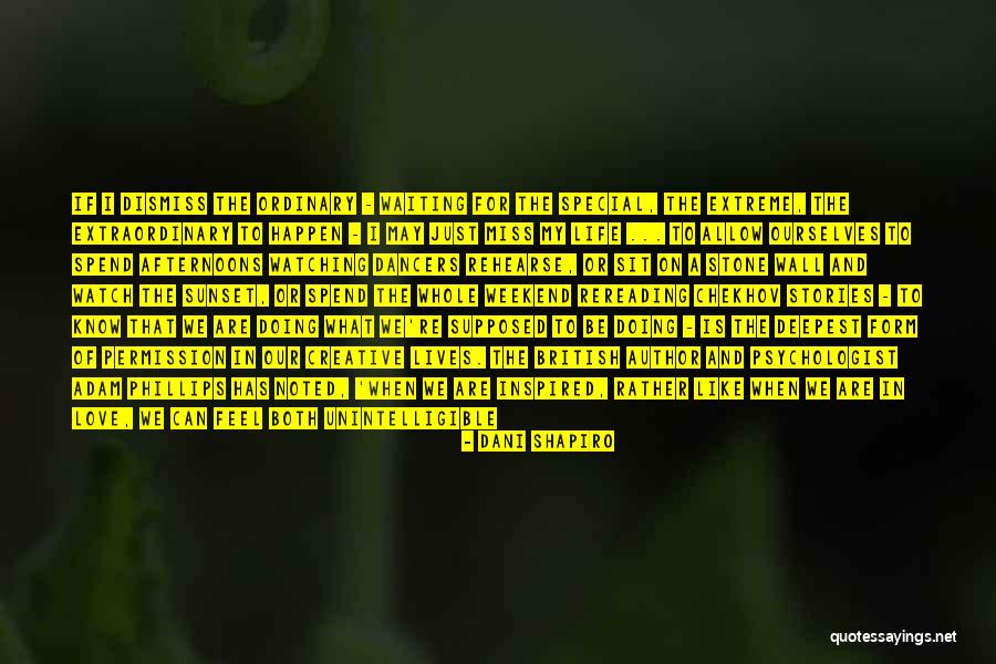 Special And Extraordinary Quotes By Dani Shapiro Special And Extraordinary Quotes By Dani Shapiro