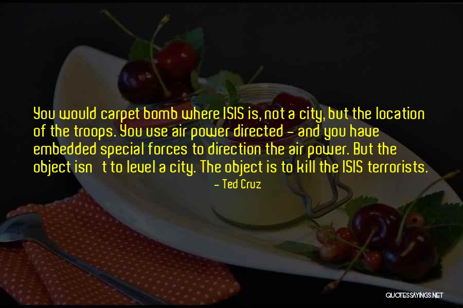 Special Forces Quotes By Ted Cruz