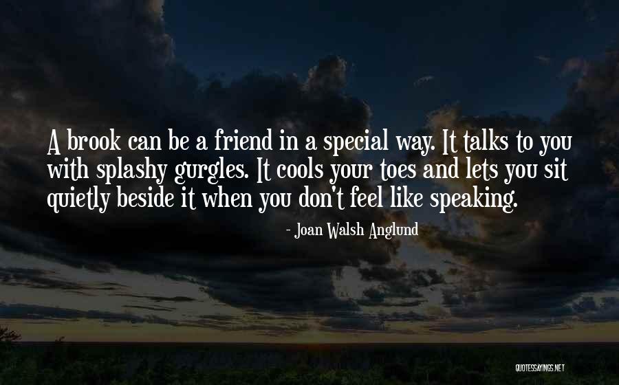 Special Friend Quotes By Joan Walsh Anglund