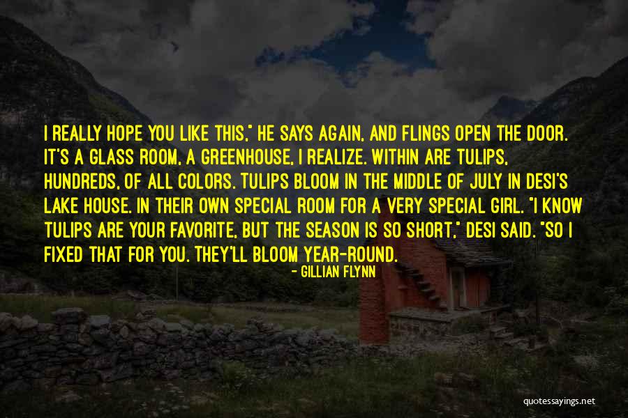 Special Girl Like You Quotes By Gillian Flynn