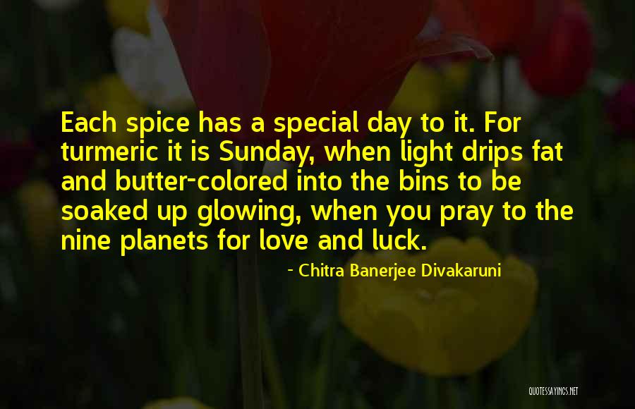 Special Love You Quotes By Chitra Banerjee Divakaruni