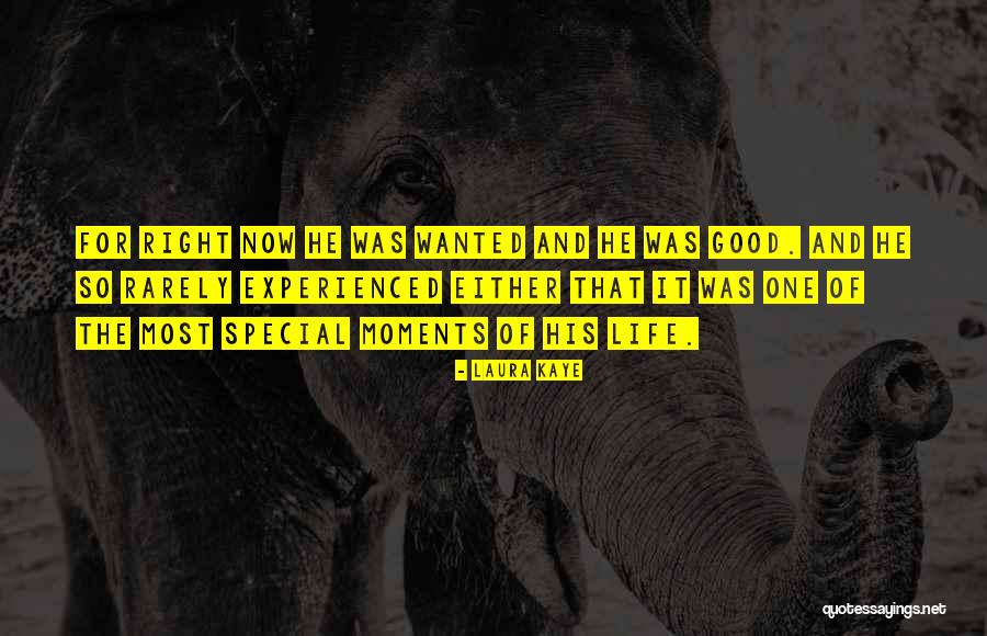 Special Moments Quotes By Laura Kaye Special Moments Quotes By Laura Kaye