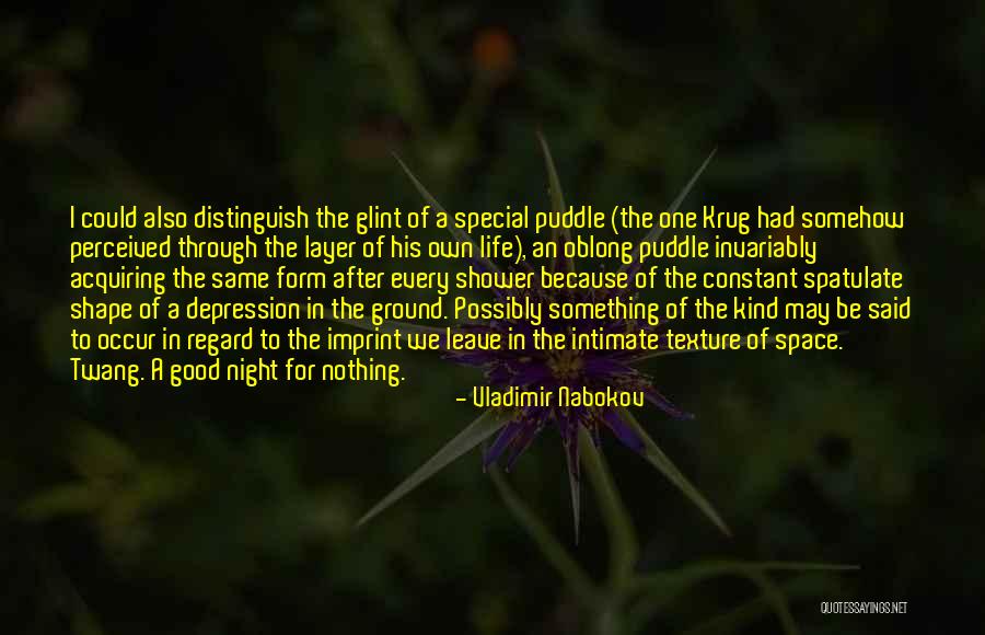 Special One Quotes By Vladimir Nabokov