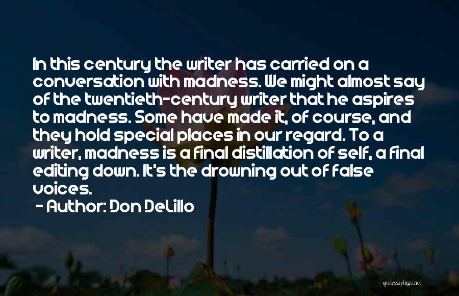 Special Places Quotes By Don DeLillo