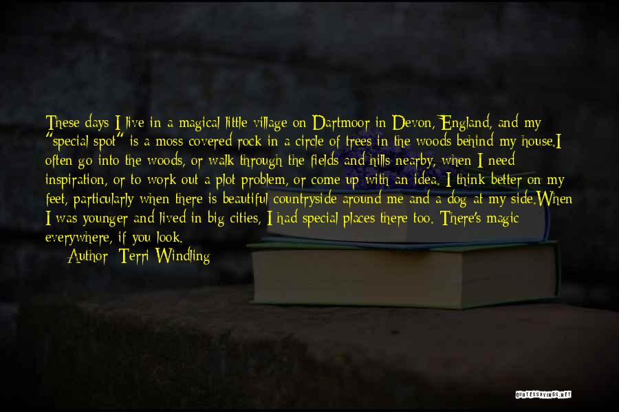 Special Places Quotes By Terri Windling