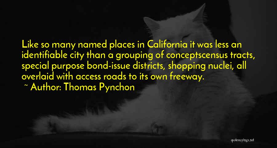 Special Places Quotes By Thomas Pynchon