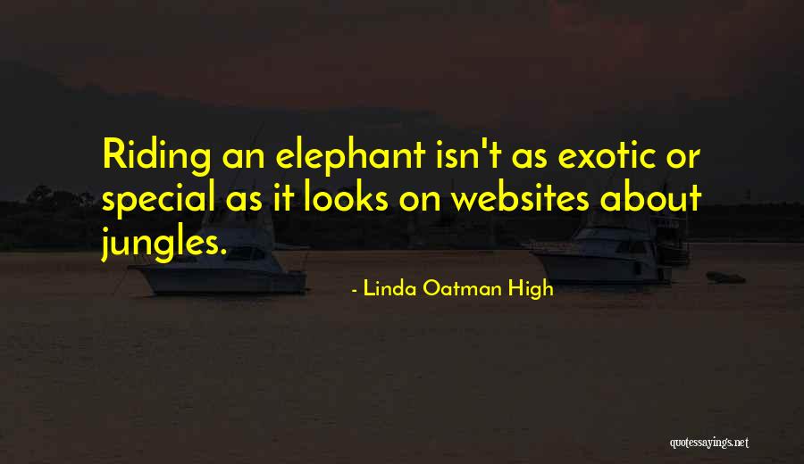 Special Rights Quotes By Linda Oatman High Special Rights Quotes By Linda Oatman High