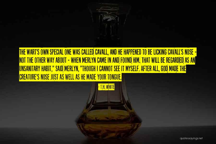 Special To Him Quotes By T.H. White Special To Him Quotes By T.H. White