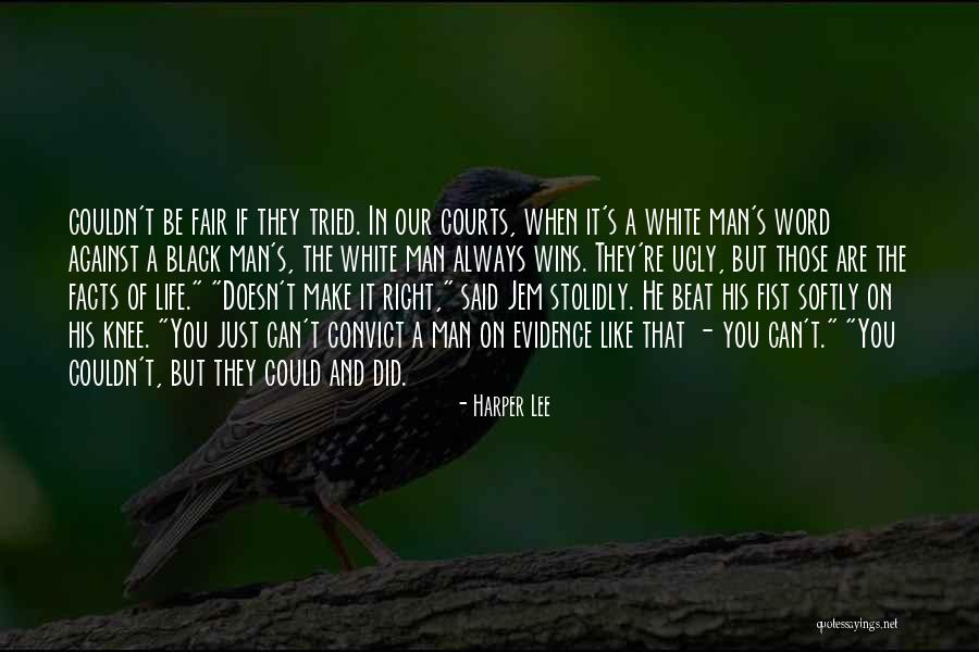 Specializations Of The Plasma Quotes By Harper Lee Specializations Of The Plasma Quotes By Harper Lee