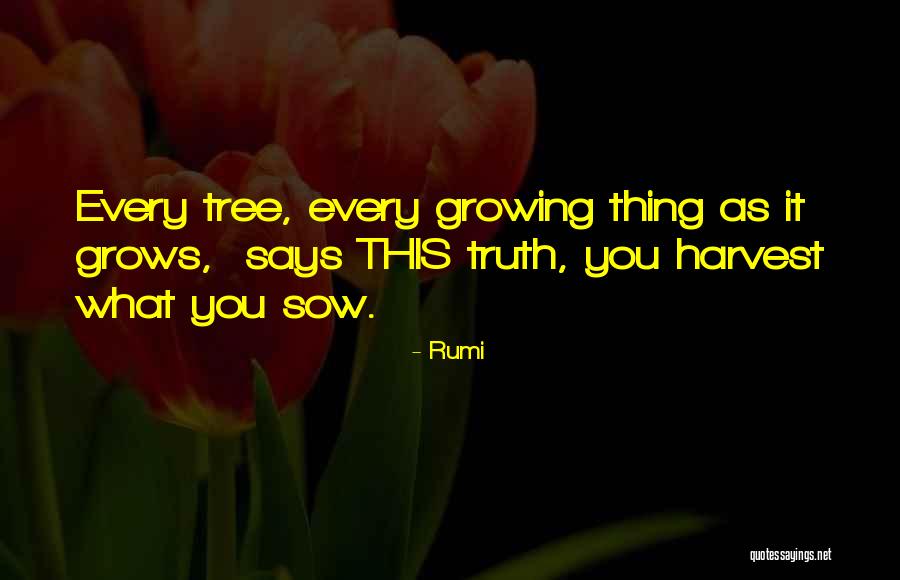 Specializations Of The Plasma Quotes By Rumi Specializations Of The Plasma Quotes By Rumi