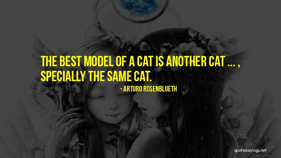 Specially Quotes By Arturo Rosenblueth