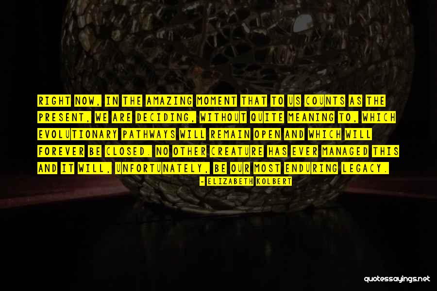 Species 2 Quotes By Elizabeth Kolbert Species 2 Quotes By Elizabeth Kolbert
