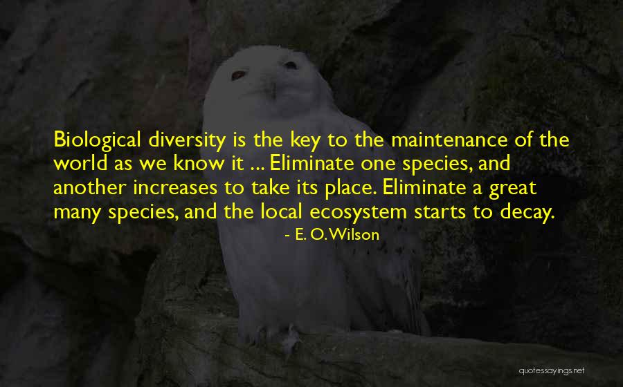 Species Diversity Quotes By E. O. Wilson Species Diversity Quotes By E. O. Wilson