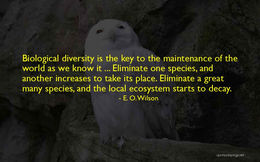 Species Diversity Quotes By E. O. Wilson