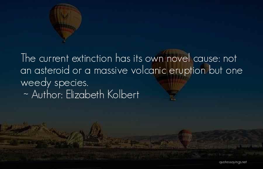 Species Extinction Quotes By Elizabeth Kolbert