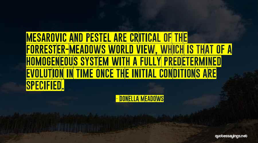 Specified Quotes By Donella Meadows Specified Quotes By Donella Meadows