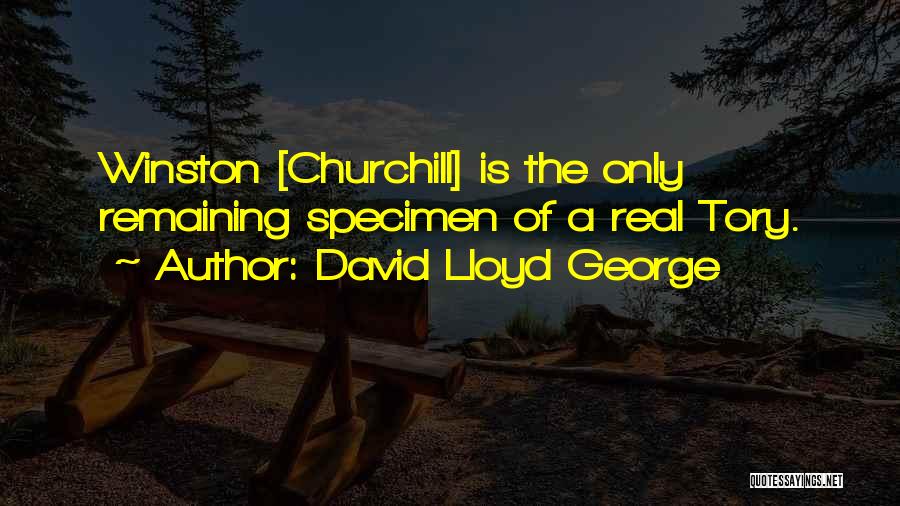 Specimen Quotes By David Lloyd George