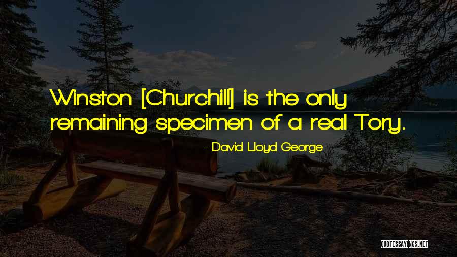 Specimen Quotes By David Lloyd George